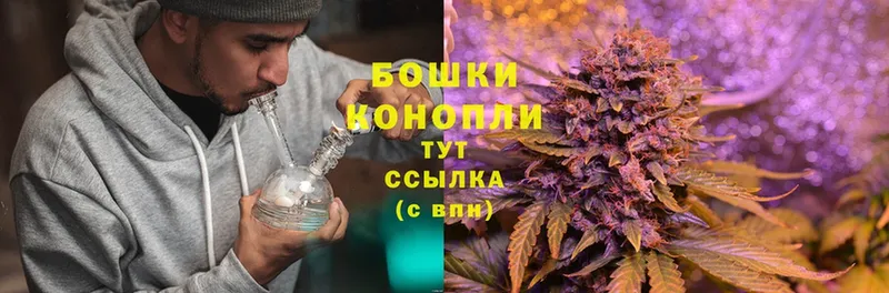 Канабис Bruce Banner  Апрелевка 